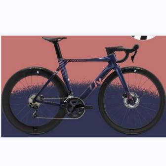 2022 enviliv adv pro disc 2